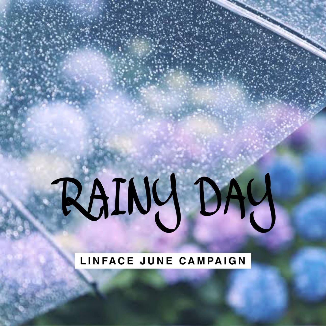 LIN FACEスタッフブログ